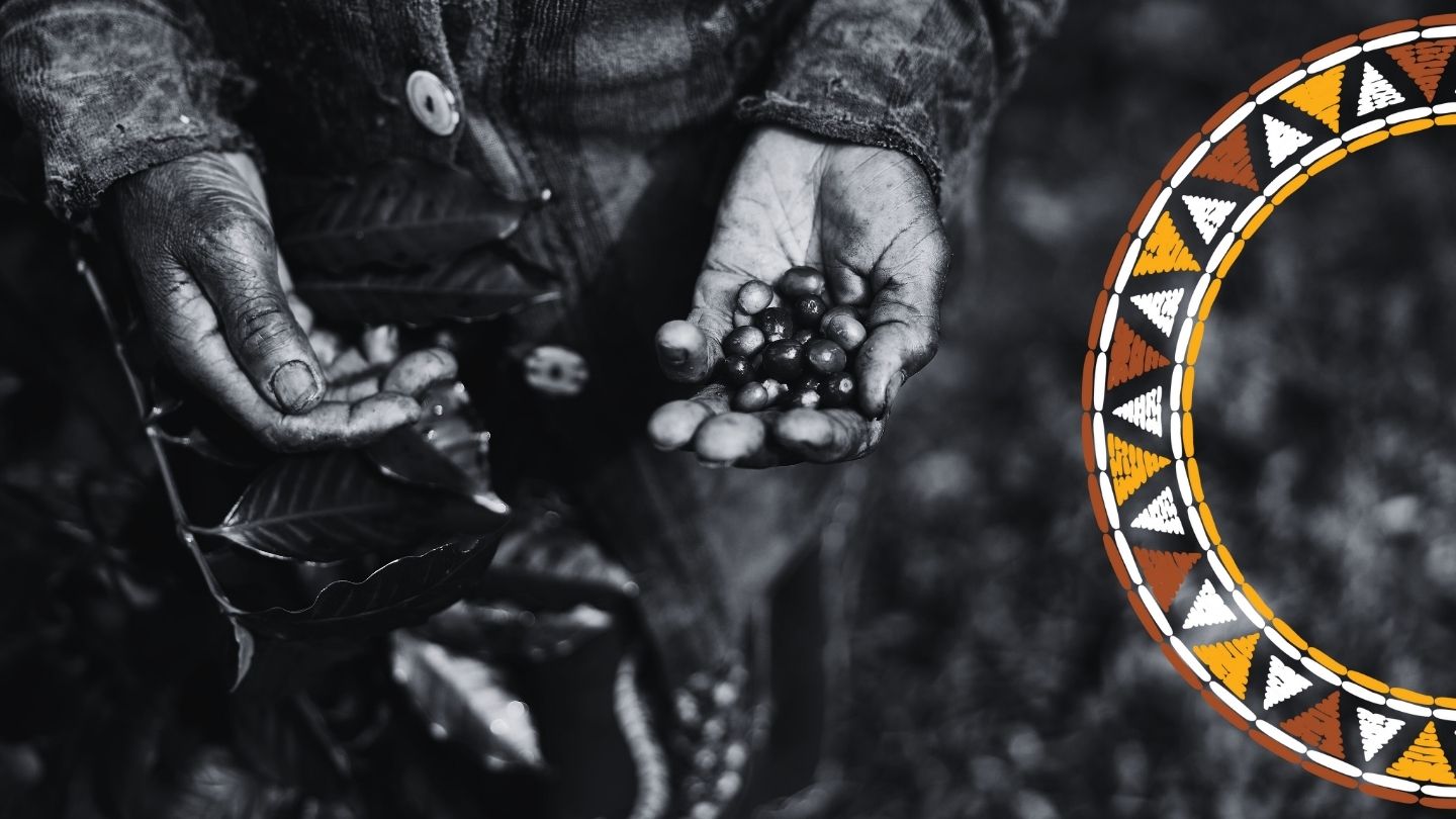 Serengeti Roasters: Coffee with the Heart of Africa